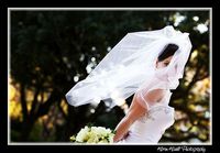 Weddings